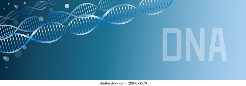 DNA spiral isolated on blue background