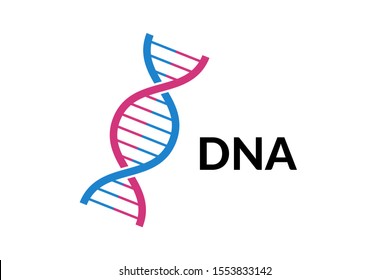 DNA spiral isolated. Vector deoxyribonucleic acid evolution gene part. Modern simple microbiological genetic helix element structure on white background