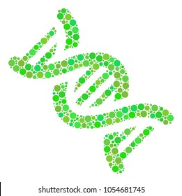 DNA Spiral mosaic of circle elements in variable sizes and eco green shades. Vector round elements are united into DNA spiral composition. Freshness vector illustration.