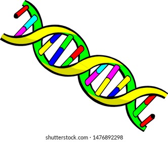 DNA spiral multicolored isolated on a white background.