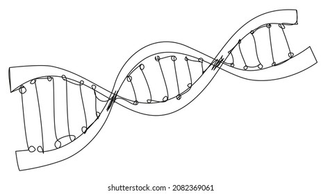 DNA spiral in one line doodle style isolated on white background. Deoxyribonucleic acid outline image. Vector illustration