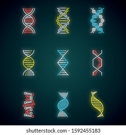 DNA spirals neon light icons set. Deoxyribonucleic, nucleic acid helix. Spiraling strands. Chromosome. Molecular biology. Genetic code. Genetics. Medicine. Glowing signs. Vector isolated illustrations