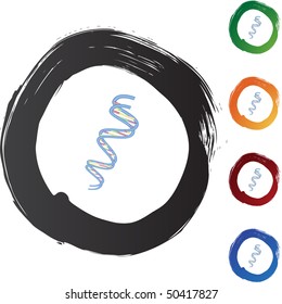 DNA Strand