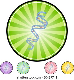 DNA Strand