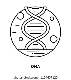 Dna strand design icon, genetics concept