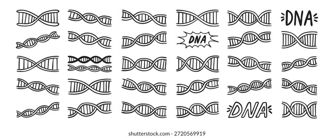 Cadena de ADN doodle dibujado a mano icono. Símbolo de Clipart de línea de hélice de dibujo de contorno. Ilustración vectorial