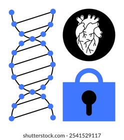 DNA strand, human heart icon, and security lock symbol are combined in a clean, flat vector style. Ideal for healthcare, genetics, security, biotechnology, and medical research themes