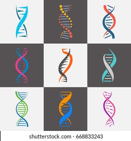 DNA strand icon. Deoxyribonucleic acid, molecule with genetic instructions, coding segment. Vector flat style illustration isolated on white and black background