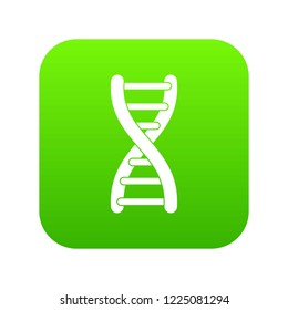 DNA strand icon digital green for any design isolated on white vector illustration