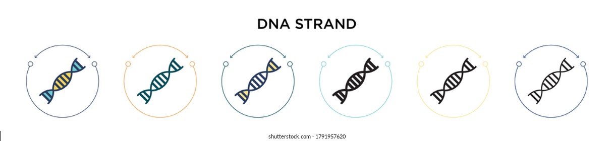 Dna strand icon in filled, thin line, outline and stroke style. Vector illustration of two colored and black dna strand vector icons designs can be used for mobile, ui, web