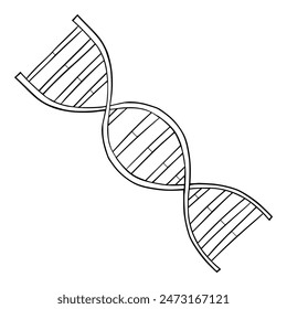DNA strand illustration hand drawn outline isolated vector