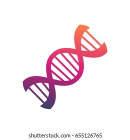 dna strand on white