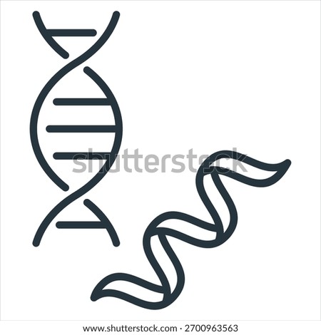 Dna Strand Outline Icon Vector Illustration