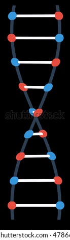 DNA strand simple style