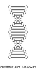 DNA strand. Vector illustration.