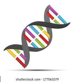 dna strands icon