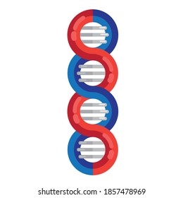 DNA strands molecule vector illustration. Spiral genetic dna medical icon. Helix structure symbol. DNA strands Magnification double helix structure blue and red