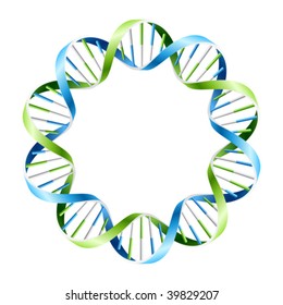 DNA Strands. Vector.