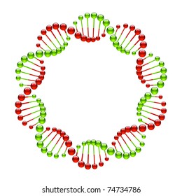 DNA Strands. Vector.