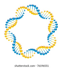 DNA Strands. Vector.