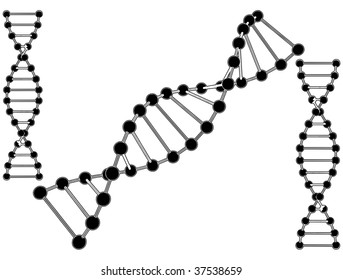 DNA String Vector 01