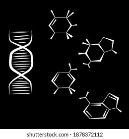 DNA structure and base pairs graphic vector.