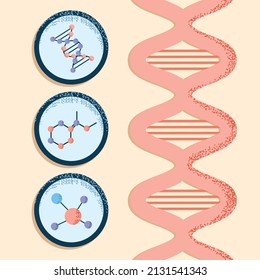 DNA-Struktur-Biologie-Molekül-Design