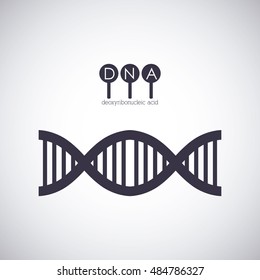 Dna structure chromosome icon. Science molecule genetic and biology theme. Isolated design. Vector illustration