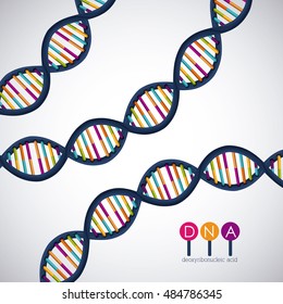 Dna structure chromosome icon. Science molecule genetic and biology theme. Isolated design. Vector illustration