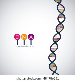 Dna structure chromosome icon. Science molecule genetic and biology theme. Isolated design. Vector illustration