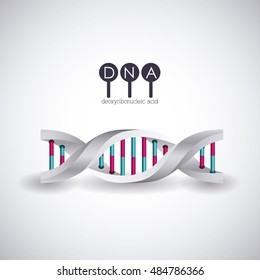 Dna structure chromosome icon. Science molecule genetic and biology theme. Isolated design. Vector illustration