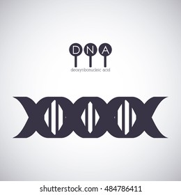 Dna structure chromosome icon. Science molecule genetic and biology theme. Isolated design. Vector illustration