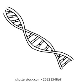DNA structure, DNA chromosome, outline hand drawn