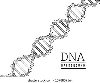 DNA structure. Deoxyribonucleic acid. Vector illustration on white