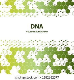 Estrutura de DNA dupla hélice em fundo branco. Nucleotídeo, fosfato, açúcar e bases. informação vetorial de educação graphic.Adenine, timina, guanina, citosina.