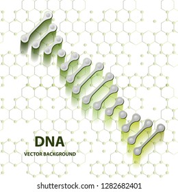 DNA structure double helix on white background. Nucleotide, Phosphate, Sugar, and bases. education vector info graphic.Adenine, Thymine, Guanine, Cytosine.