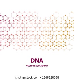 DNA structure double helix on white background. Nucleotide, Phosphate, Sugar, and bases. education vector info graphic.Adenine, Thymine, Guanine, Cytosine.