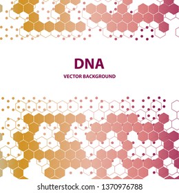 DNA structure double helix on white background. Nucleotide, Phosphate, Sugar, and bases. education vector info graphic.Adenine, Thymine, Guanine, Cytosine.