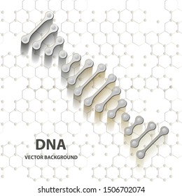 DNA structure double helix on white background. Nucleotide, Phosphate, Sugar, and bases. education vector info graphic.Adenine, Thymine, Guanine, Cytosine.