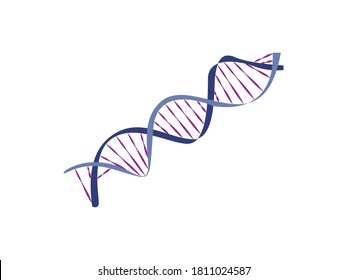 DNA structure Icon Vector illustration. cartoon. Science Biotechnology DNA spiral sign, emblem isolated on white background, Flat style for graphic and web design, logo. medical
