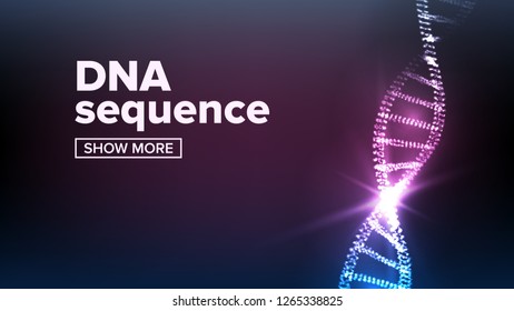 Dna Structure Vector. Human Genome. Genetic Molecule. Strand, Sequence. Illustration
