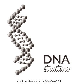 DNA structure, vector icon