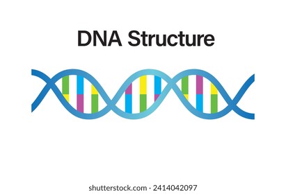 DNA Structure VECTOR. DNA icon in trendy flat design