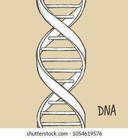 DNA symbol. DNA helix symbol. Gene icon. Hand draw vector illustration on white background