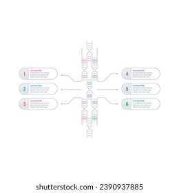 dna symbol informational template. science, chemistry, web, education, internet, magazine, annual report infographic template. six steps infographic template