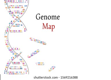 DNA Test, Genom Map.  Mosaic Genome And Distressed Stamp Seal With Genome Phrase. Vector Illustration.
