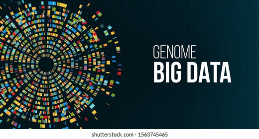 Dna test, genomic big data infographic. Chromosome architecture, molecule sequencing chart visualization, genome sequence map. Genetic, barcoding graphic template background. Technology illustration
