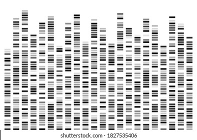 DNA Test White Background Genome Sequence Map Barcoding Vector Illustration