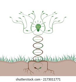 DNA tree of green innovations