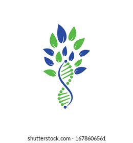DNA tree vector logo design. DNA with green leaves vector logo design.
